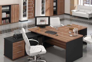 Кабинет руководителя Сенатор